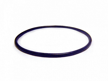 Кольцо уплотнительное колбы BB T